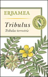 TRIBULUS CAPSULE
