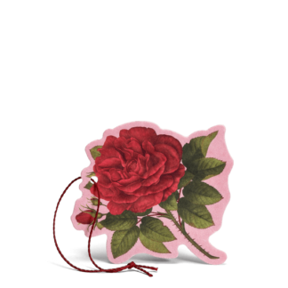 ROSA PURPUREA FIORE PROFUMATO